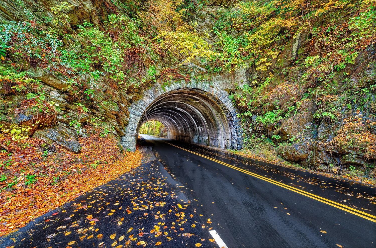A Stones Throw, You Get 1089 Free Attraction Tickets Per Paid Day, Dollywood And Much More! Pigeon Forge Luaran gambar