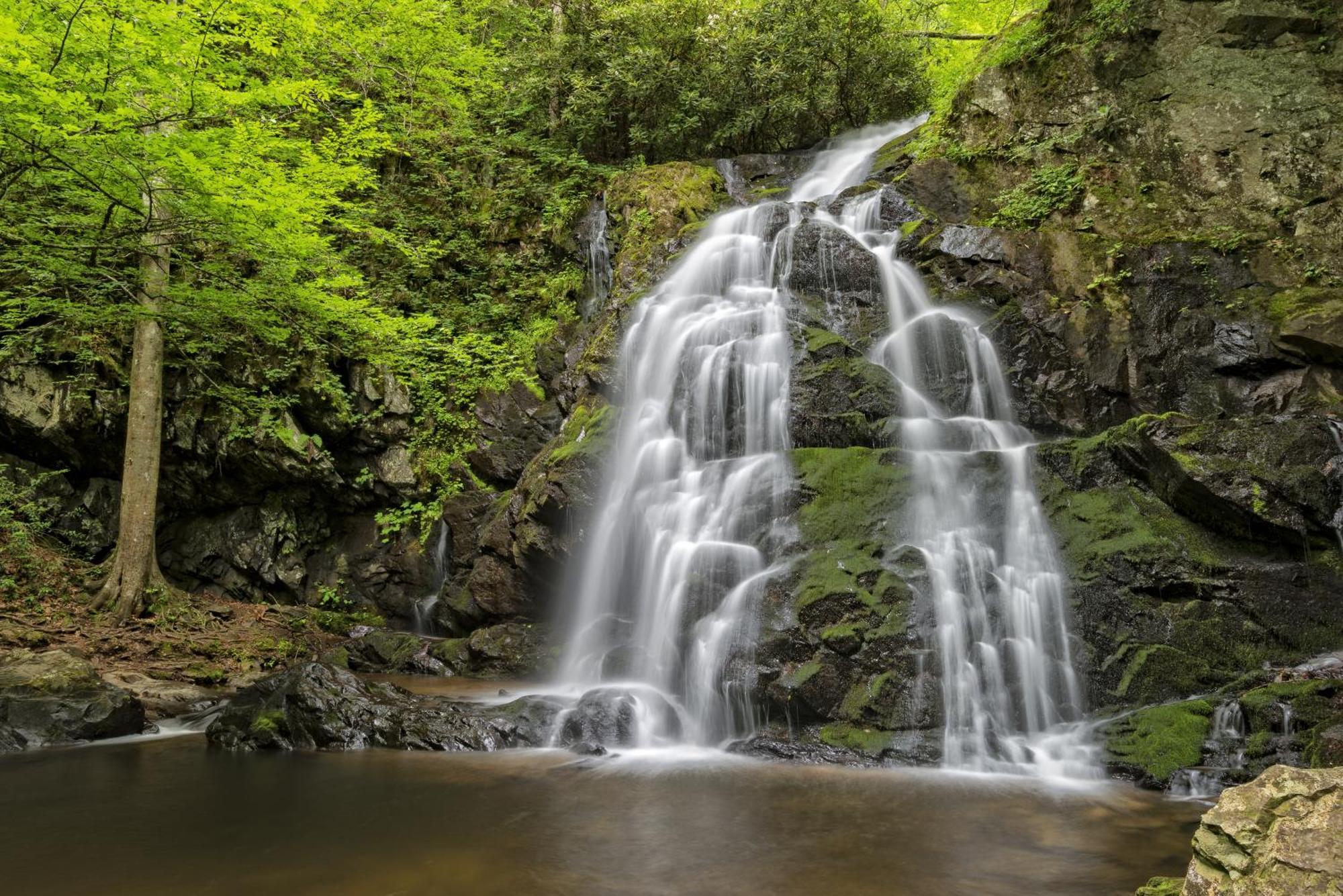 A Stones Throw, You Get 1089 Free Attraction Tickets Per Paid Day, Dollywood And Much More! Pigeon Forge Luaran gambar